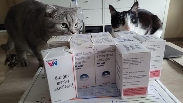 Raltegravir 400mg